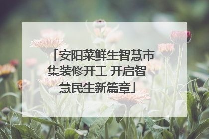 安阳菜鲜生智慧市集装修开工 开启智慧民生新篇章