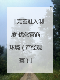 完善准入制度 优化营商环境（产经观察）