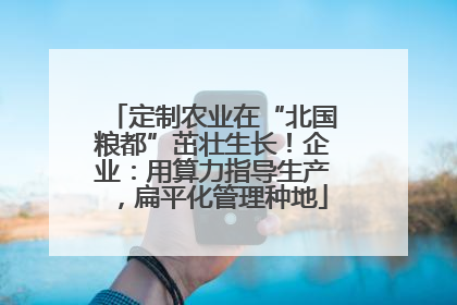 定制农业在“北国粮都”茁壮生长！企业：用算力指导生产，扁平化管理种地