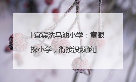 宜宾洗马池小学：童眼探小学，衔接没烦恼