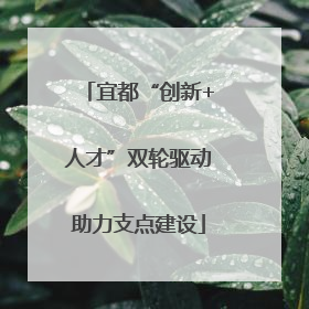 宜都“创新+人才”双轮驱动助力支点建设