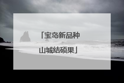 宝岛新品种 山城结硕果