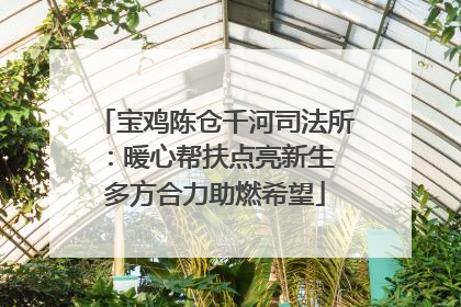 宝鸡陈仓千河司法所：暖心帮扶点亮新生 多方合力助燃希望