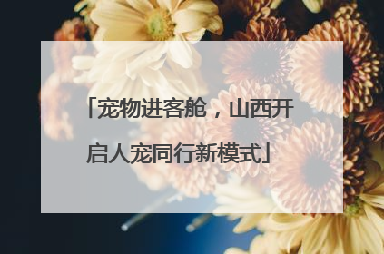 宠物进客舱，山西开启人宠同行新模式