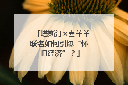 塔斯汀×喜羊羊联名如何引爆“怀旧经济”？