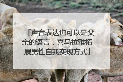 声音表达也可以是父亲的语言，喜马拉雅拓展男性自我实现方式