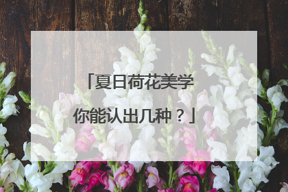 夏日荷花美学 你能认出几种？