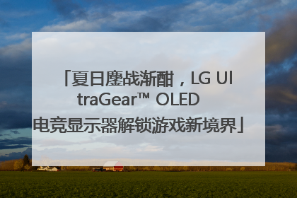 夏日鏖战渐酣，LG UltraGear™ OLED电竞显示器解锁游戏新境界