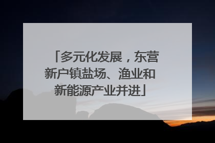 多元化发展，东营新户镇盐场、渔业和新能源产业并进
