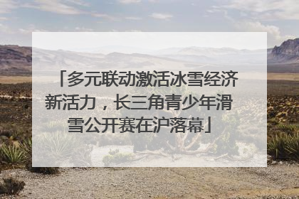 多元联动激活冰雪经济新活力，长三角青少年滑雪公开赛在沪落幕