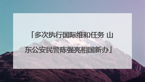 多次执行国际维和任务 山东公安民警陈强亮相国新办