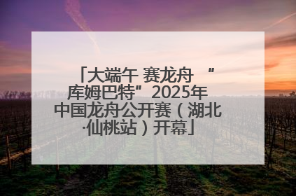 大端午 赛龙舟 “库姆巴特”2025年中国龙舟公开赛（湖北·仙桃站）开幕