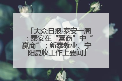 大众日报·泰安一周：泰安在“营商”中“赢商”；新泰就业、宁阳夏收工作上要闻