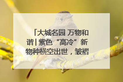 大城名园 万物和谐│紫色“高冷”新物种横空出世，皱褶叶片暗藏进化密码