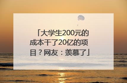 大学生200元的成本干了20亿的项目？网友：羡慕了