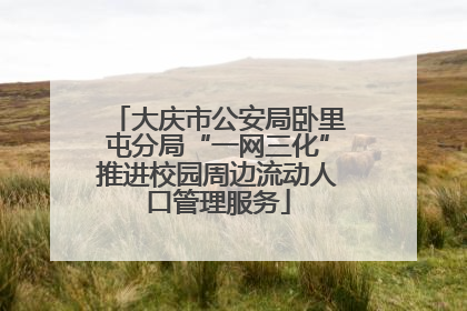 大庆市公安局卧里屯分局“一网三化”推进校园周边流动人口管理服务