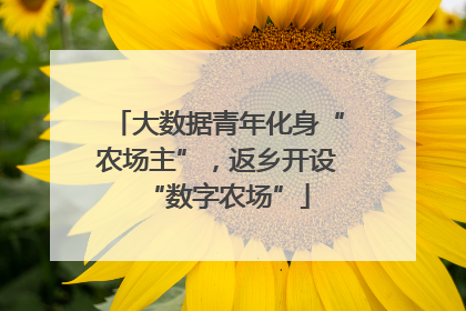 大数据青年化身“农场主”，返乡开设“数字农场”