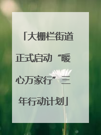 大栅栏街道正式启动“暖心万家行”三年行动计划