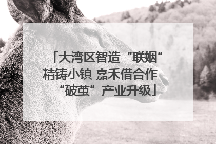 大湾区智造“联姻”精铸小镇 嘉禾借合作“破茧”产业升级