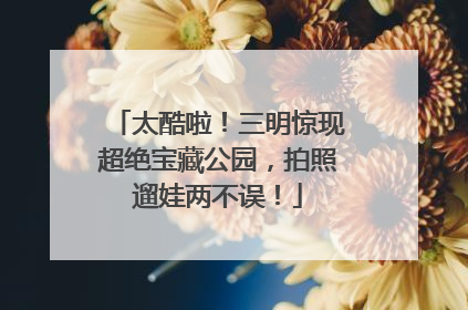 太酷啦！三明惊现超绝宝藏公园，拍照遛娃两不误！