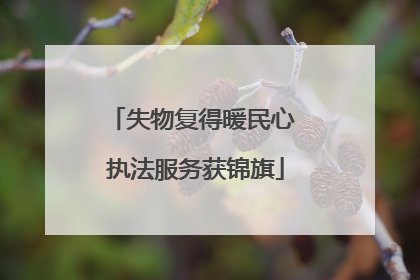 失物复得暖民心 执法服务获锦旗