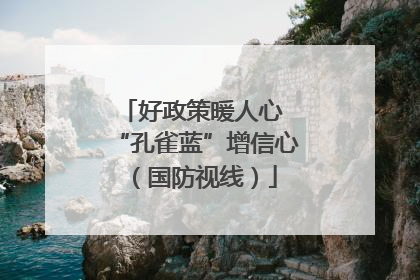 好政策暖人心 “孔雀蓝”增信心（国防视线）