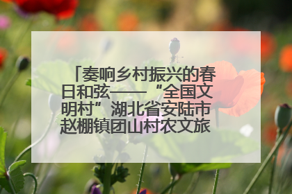 奏响乡村振兴的春日和弦——“全国文明村”湖北省安陆市赵棚镇团山村农文旅融合发展见闻