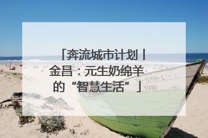 奔流城市计划丨金昌：元生奶绵羊的“智慧生活”
