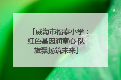 威海市福泰小学：红色基因润童心 队旗飘扬筑未来