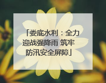 娄底水利：全力迎战强降雨 筑牢防汛安全屏障