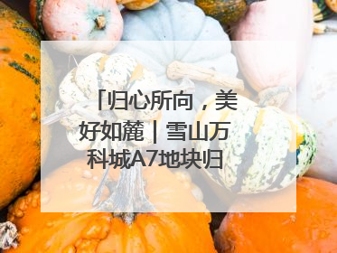 归心所向，美好如麓｜雪山万科城A7地块归麓园品质交付