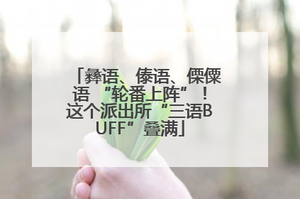 彝语、傣语、傈僳语 “轮番上阵”！这个派出所“三语BUFF”叠满