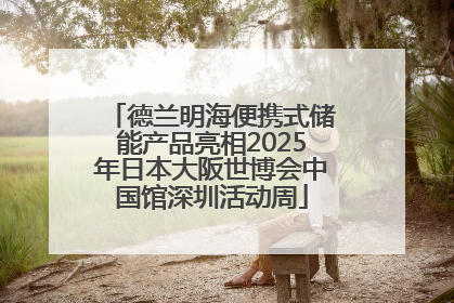 德兰明海便携式储能产品亮相2025年日本大阪世博会中国馆深圳活动周