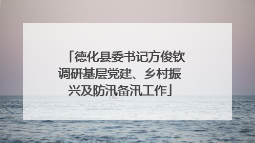 德化县委书记方俊钦调研基层党建、乡村振兴及防汛备汛工作
