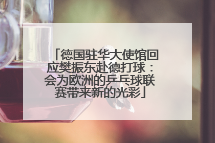 德国驻华大使馆回应樊振东赴德打球：会为欧洲的乒乓球联赛带来新的光彩