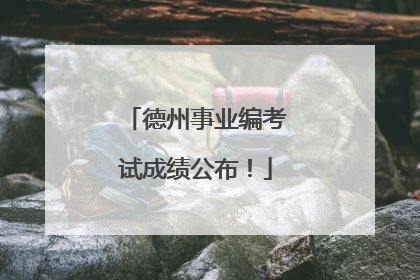 德州事业编考试成绩公布！