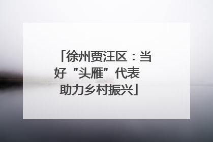 徐州贾汪区：当好“头雁”代表 助力乡村振兴