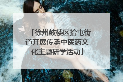 徐州鼓楼区拾屯街道开展传承中医药文化主题研学活动