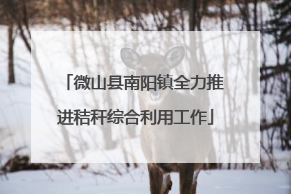 微山县南阳镇全力推进秸秆综合利用工作
