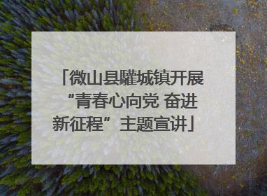 微山县驩城镇开展“青春心向党 奋进新征程”主题宣讲