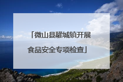微山县驩城镇开展食品安全专项检查