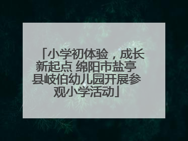 小学初体验，成长新起点 绵阳市盐亭县岐伯幼儿园开展参观小学活动