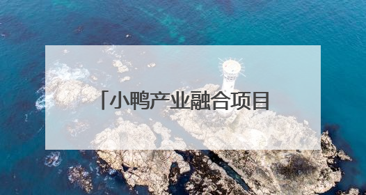 小鸭产业融合项目：通过“厂区改造+产业置换”，盘活存量，增值增效