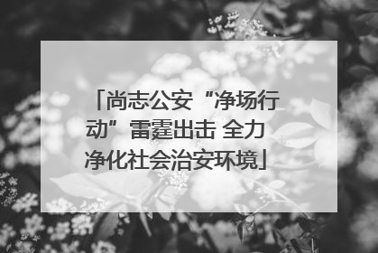尚志公安“净场行动”雷霆出击 全力净化社会治安环境