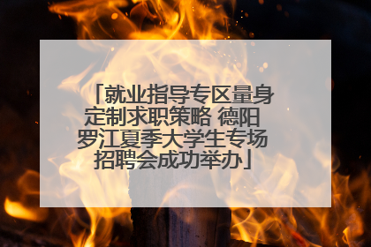 就业指导专区量身定制求职策略 德阳罗江夏季大学生专场招聘会成功举办