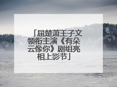 屈楚萧王子文领衔主演《有朵云像你》剧组亮相上影节