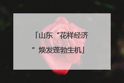 山东“花样经济”焕发蓬勃生机