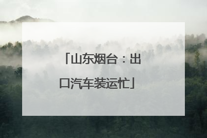 山东烟台：出口汽车装运忙