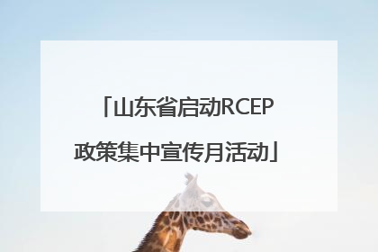 山东省启动RCEP政策集中宣传月活动