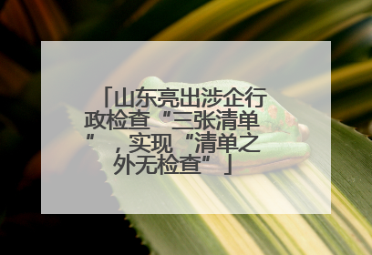 山东亮出涉企行政检查“三张清单”，实现“清单之外无检查”